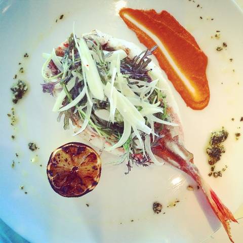 Raw fish with shaved greens and charred citrus