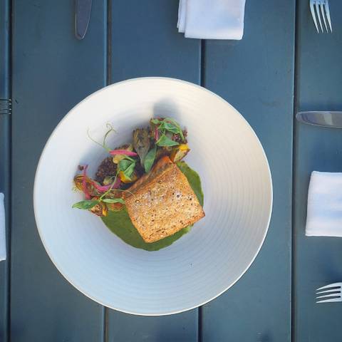 Crispy-skin fillet over a green sauce
